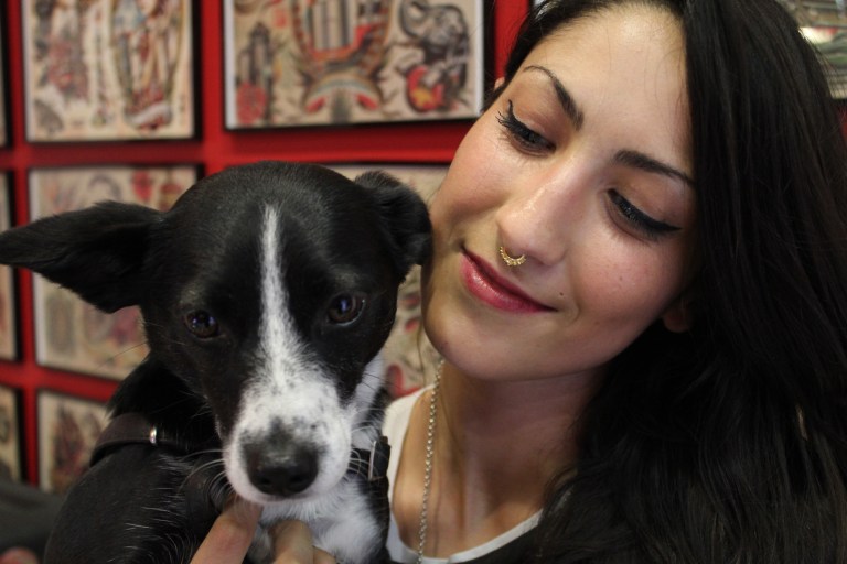 septum con bagno d'oro